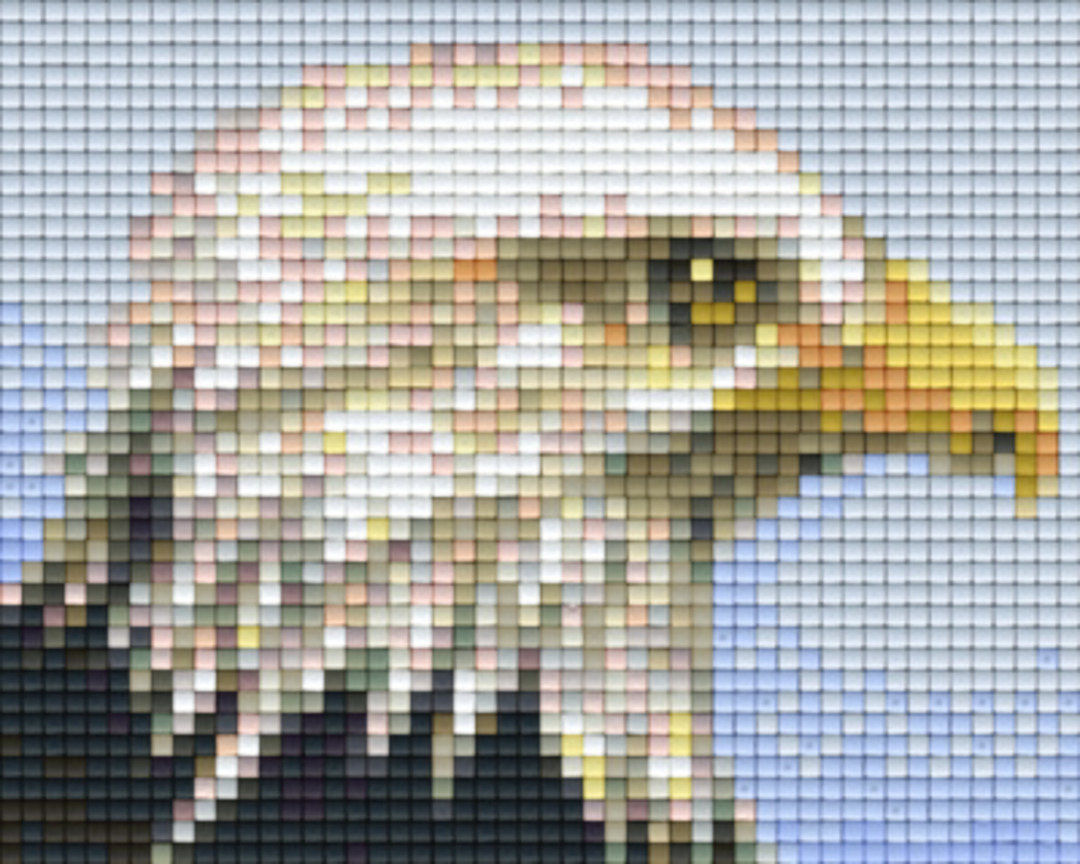 Realistic Eagle Head One [1] Baseplate PixelHobby Mini-mosaic Art Kit image 0